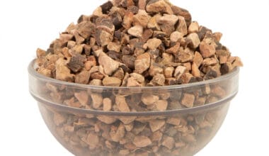 Πολύγωνο ρίζα (ή Πολύκομπο)