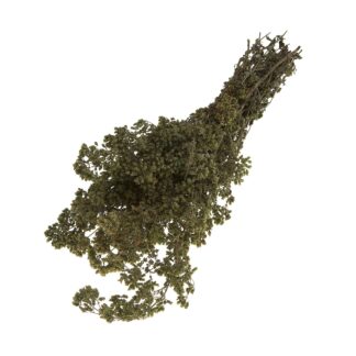 Ρίγανη ματσάκι 100 γρ.