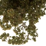 Ρίγανη ματσάκι 100 γρ. - Image 2