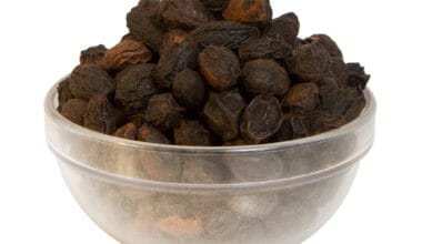 Σερενόα (Saw Palmetto) σπόροι