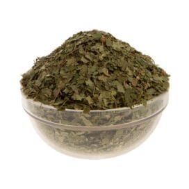 Σημύδα (ή Μπετούλα)