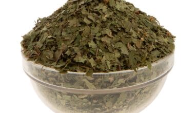 Σημύδα (ή Μπετούλα)