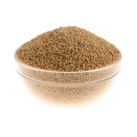 Σινάπι λευκό