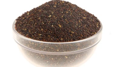 Σινάπι μαύρο