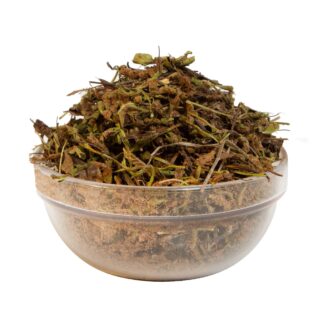 Σκορπιδόχορτο