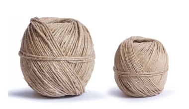 Καπνόσπαγγος