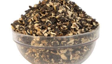 Σύμφυτο ρίζα