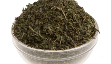 Ταραξάκο (ή Αγριοράδικο ή Πικραλίδα) φύλλα τριμμένα