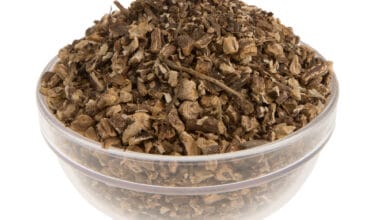 Ταραξάκο (ή Αγριοράδικο ή Πικραλίδα) ρίζα τριμμένη