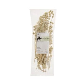 Τσάι βουνού Μαλοτήρα Σφακίων Κρήτης 25 γρ.