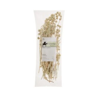 Τσάι βουνού Μαλοτήρα Σφακίων Κρήτης 25 γρ.