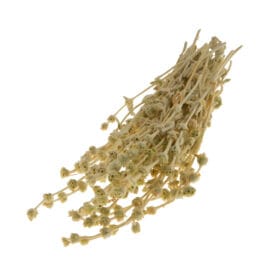 Τσάι βουνού Μαλοτήρα Σφακίων Κρήτης 25 γρ. - Image 2