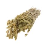 Τσάι βουνού Πηλίου ματσάκι 30 γρ.