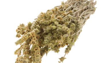 Τσάι βουνού Πηλίου ματσάκι 30 γρ.