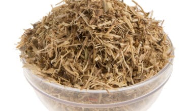 Τσουκνίδα ρίζα τριμμένη