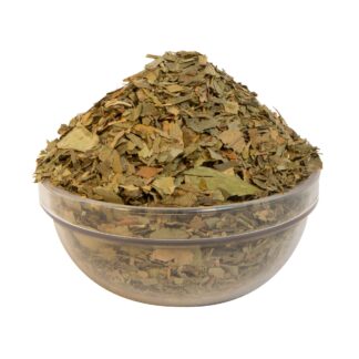 Τζίνγκο Μπιλόμπα (Ginkgo biloba)