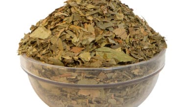 Τζίνγκο Μπιλόμπα (Ginkgo biloba)