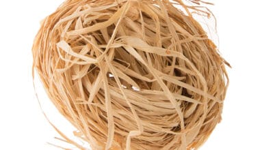 Χόρτο διακόσμησης φυσικό 100 γρ.