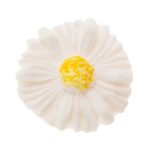 Ζαχαρωτό διακοσμητικό για δίσκους μνημοσύνου μαργαρίτα μεγάλη με κίτρινο 1 τεμ.