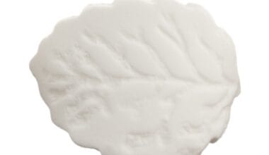 Ζαχαρωτό διακοσμητικό για δίσκους μνημοσύνου φύλλο μικρό 1 τεμ.