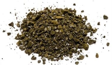 Αλόη (μη βρώσιμη)