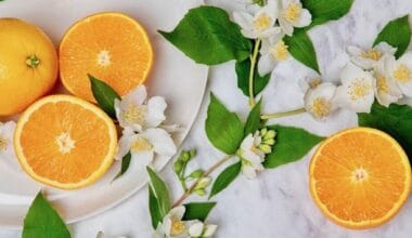 Άνθη Πορτοκαλιάς