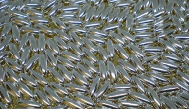 Ασημοκούφετα μνημοσύνου κριθαράκι