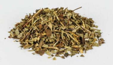 Βερόνικα (ή Βερονίκη)