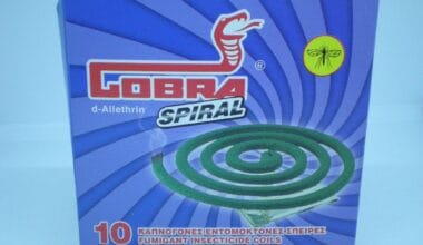 Φιδάκια για κουνούπια Cobra Spiral 10 τεμ.