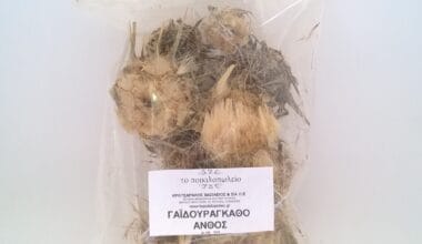 Γαϊδουράγκαθο ανθός (ή Αγκάθι) 30 γρ.