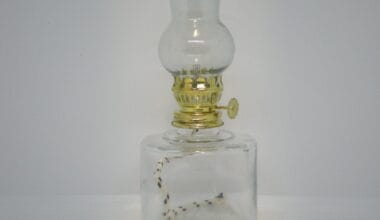 Λάμπα παραφινελαίου μικρή (250ml) κυλινδρική 1 τεμ.