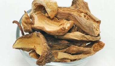 Μανιτάρια πορτσίνι (porcini) αποξηραμένα