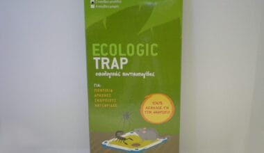 Ποντικοπαγίδα με κόλλα Ecologic Trap 2 τεμ.