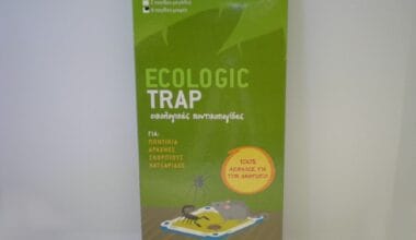 Ποντικοπαγίδα με κόλλα Ecologic Trap 4 τεμ.