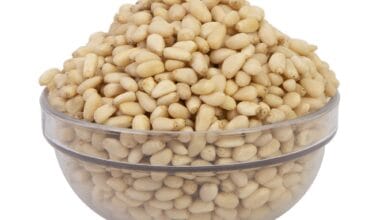 Κουκουνάρι