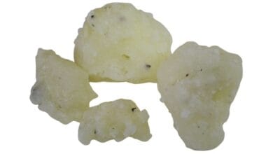 Ρετσίνι Πεύκου 100 γρ.