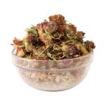 Κόκκινο τριφύλλι