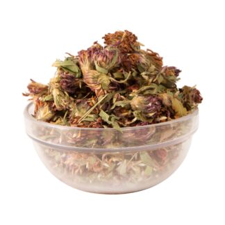 Κόκκινο τριφύλλι