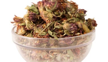 Κόκκινο τριφύλλι