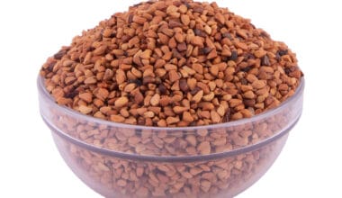 Άγριο τριαντάφυλλο σπόρος