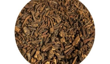 Ελλέβορος (ή Ρόδο των Χριστουγέννων ή Τρελόχορτο ή Άτεκνο) ρίζα