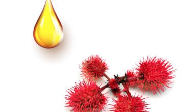 Καστορέλαιο φυτικό έλαιο 1 λίτρο