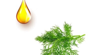 Μάραθος αιθέριο έλαιο 10ml