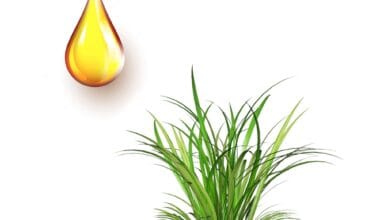 Παλμαρόζα αιθέριο έλαιο 10ml