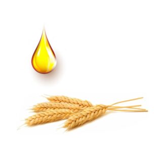 Σιτέλαιο φυτικό έλαιο (ψυχρής έκθλιψης) 1 λίτρο