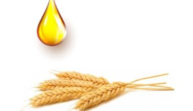 Σιτέλαιο φυτικό έλαιο (ψυχρής έκθλιψης) 1 λίτρο