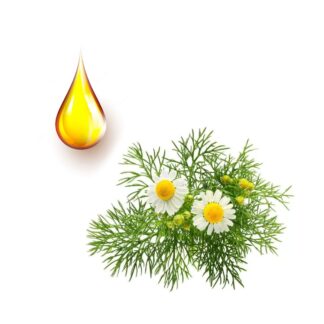 Χαμομηλέλαιο φυτικό έλαιο 1 λίτρο