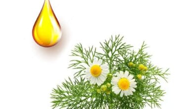 Χαμομηλέλαιο φυτικό έλαιο 1 λίτρο