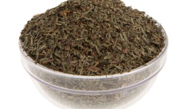 Πολυτρίχι (ή Αδίαντο)