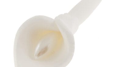 Ζαχαρωτό διακοσμητικό για δίσκους μνημοσύνου κρινάκι λευκό με πέρλα 1 τεμ.